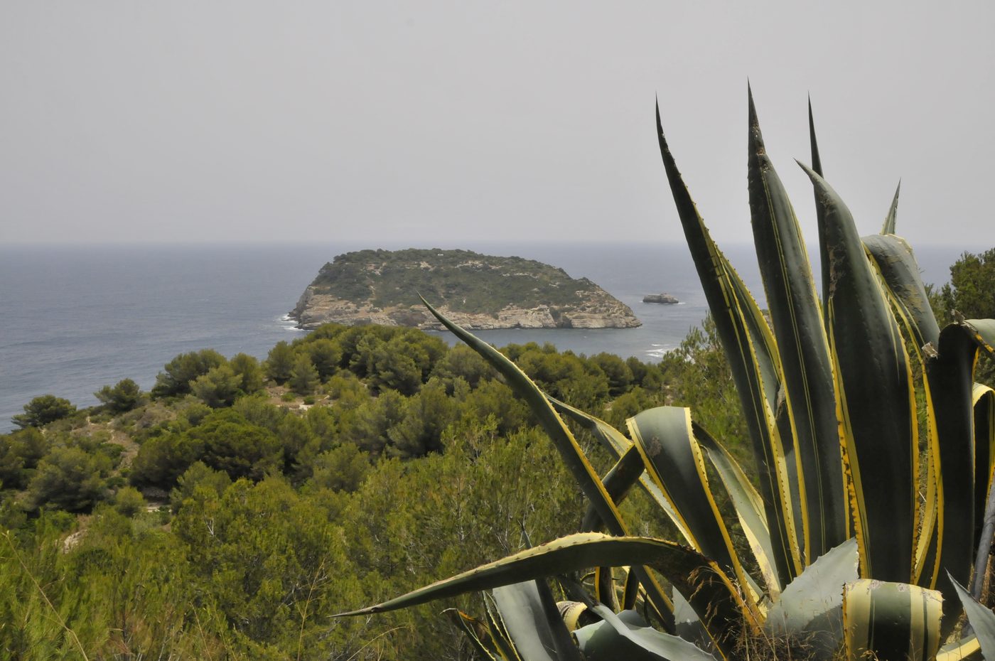 Illa del Portitxol island off Cap Prim, Javea, seen from the headland
